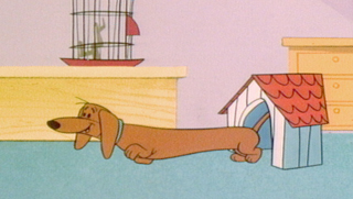 1228woof
