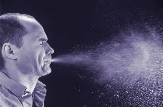 allergymcsnee